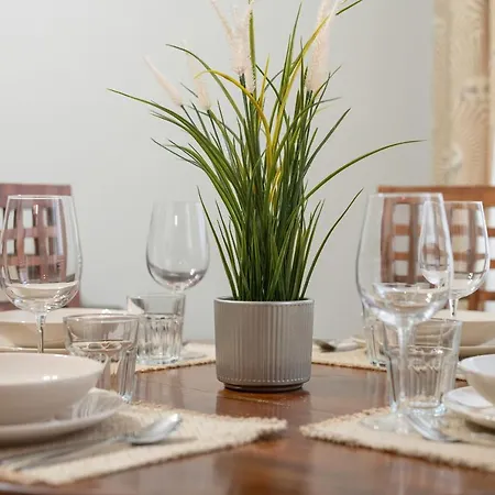 Sunny In The Heart Of Old Town By Renters Apartment *